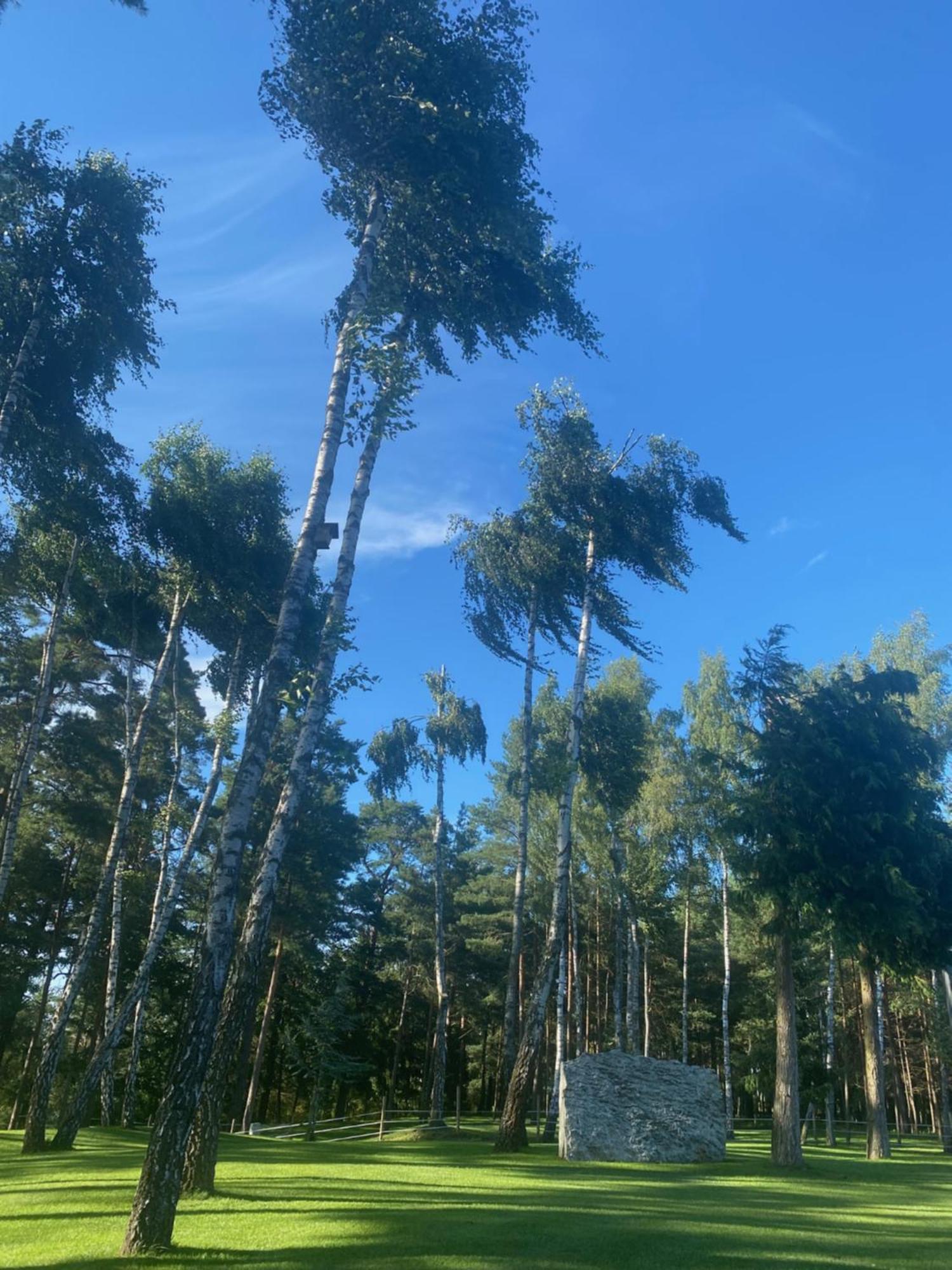 Jarski Domek Stężyca Dış mekan fotoğraf
